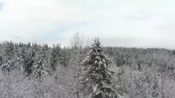 Ariel Materiał Filmowy Pokrytych Śniegiem Krajobrazów — Wideo stockowe