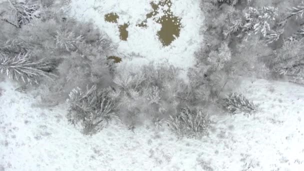Imágenes Ariel Paisajes Cubiertos Nieve — Vídeos de Stock