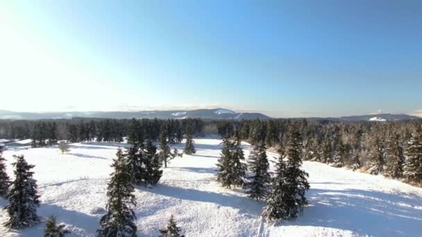 Ariel Filmagens Paisagens Cobertas Neve — Vídeo de Stock