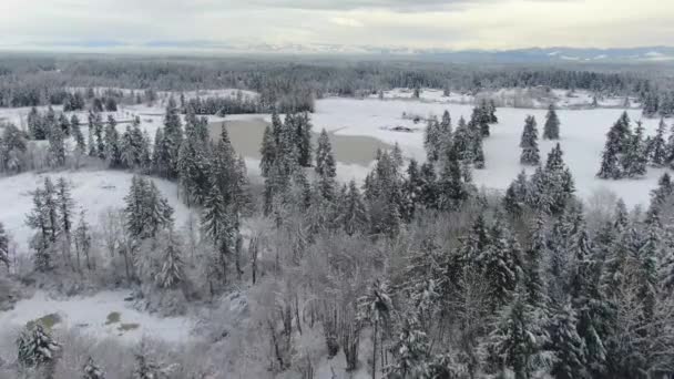 Ariel Filmagens Paisagens Cobertas Neve — Vídeo de Stock