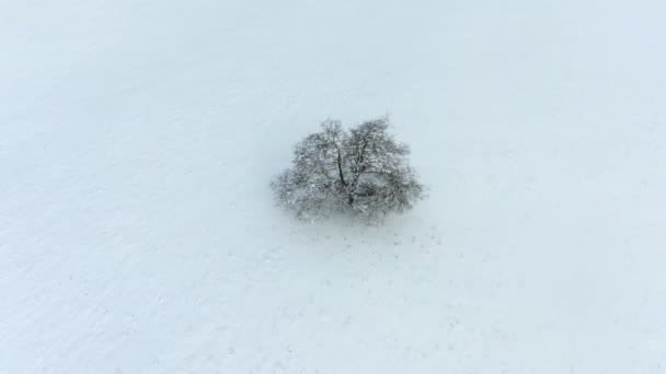 Аріель Снігових Пейзажах — стокове відео