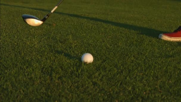 Golfeur Alignant Tir Avec Une Balle Sur Terrain Golf — Video