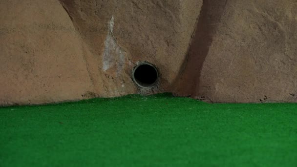 Uma Mini Bola Golfe Laranja Sai Tubo Uma Parede Rola — Vídeo de Stock