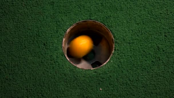 Una Vista Cercana Los Pájaros Una Mini Pelota Golf Amarillo — Vídeos de Stock