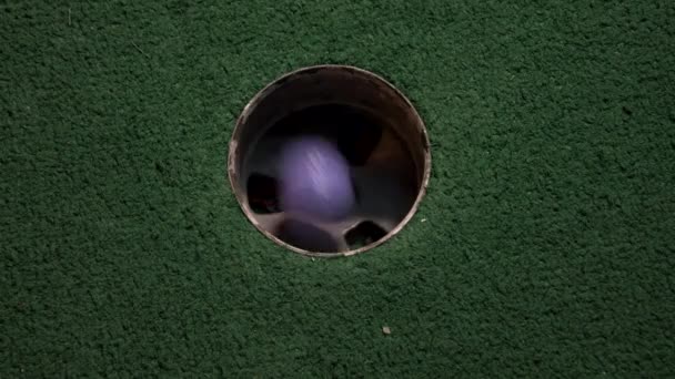 Uma Vista Olhos Pássaros Perto Uma Mini Bola Golfe Roxa — Vídeo de Stock