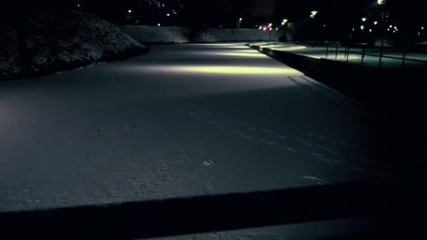 Şehir Parkında Karla Kaplı Donmuş Gölet Manzarası — Stok video