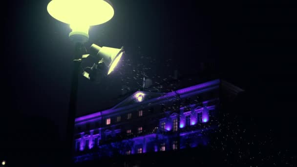 Kilátás Utcai Lámpa Egy Parkban Havas Téli Éjszaka Díszített Ház — Stock videók