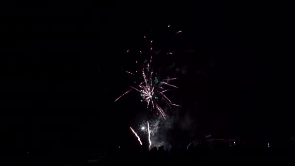 Kembang Api Pada Malam Tahun Baru Untuk Pesta Pantai — Stok Video