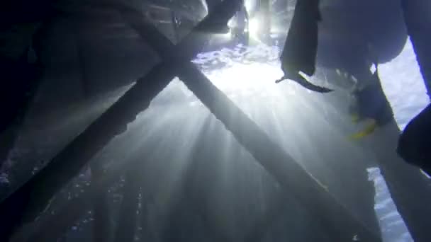 Debaixo Molhe Águas Tropicais Muitos Peixes Vida Sob Enquanto Sol — Vídeo de Stock