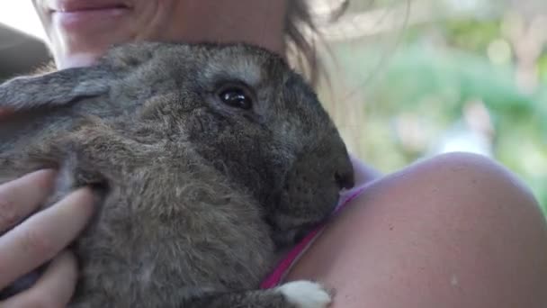 Koyu Gri Bir Tavşan Tutan Bir Kız — Stok video