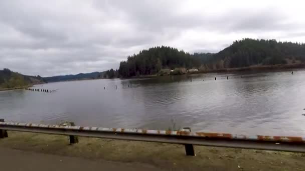 Driving River Pilings Sticking Out Water Used Logging Floating Logs — Stock Video