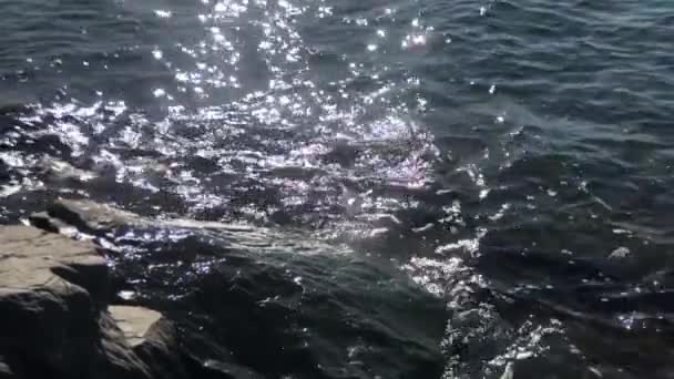 Вода Русі Плескання Рух Хвиль Повільному Русі Пьюджет Саунд — стокове відео