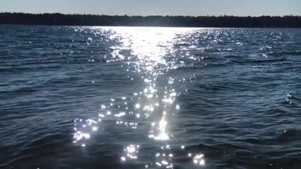 Vatten Rörelse Lappning Och Rörelse Vågor Slow Motion Puget Sound — Stockvideo