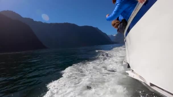 Jumping Dolphins Playing Boat Wake While Cruising Milford Sound New — Stock Video