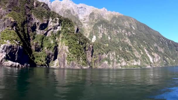 Croisière Autour Milford Sound Nouvelle Zélande — Video