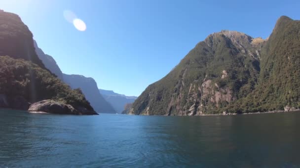 Kreuzfahrt Den Milford Sound Neuseeland — Stockvideo