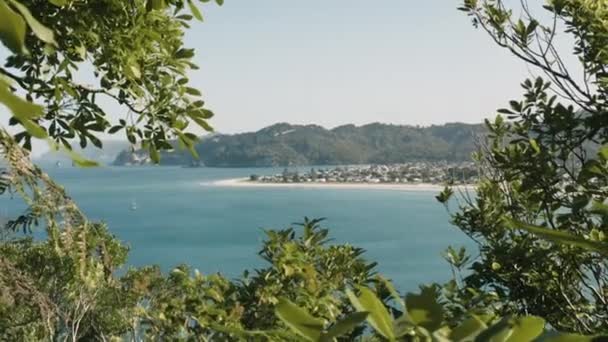 Cabecera Playa Situada Coromandel Nueva Zelanda Whangamata — Vídeo de stock