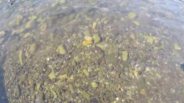 Elk River Port Orford Oregon Apa Limpede Cristal Curge Vederi — Videoclip de stoc