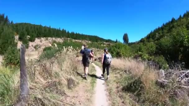 Hiking Hills Rotorua New Zealand — Stock Video