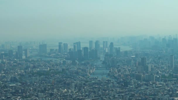 Letecký Pohled Tokio Siluetami Věže Skytree — Stock video