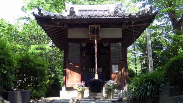 Малий Храм Вежі Зозо Дзі Токійського Парку — стокове відео