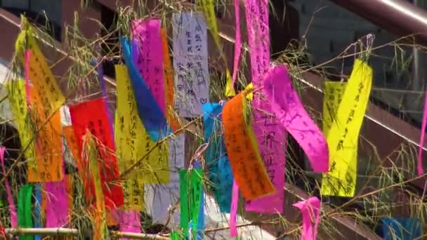 Close People Bunding Wish Paper Tree Zozo Temple — Stok Video