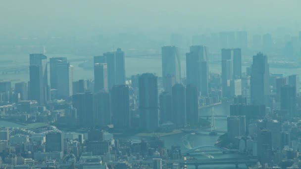 Zoom Out Veduta Aerea Tokyo Con Skyline Dalla Torre Skytree — Video Stock