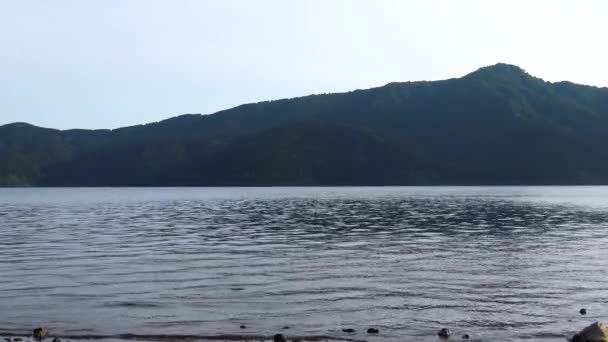 海岸から見た芦ノ湖の眺め — ストック動画