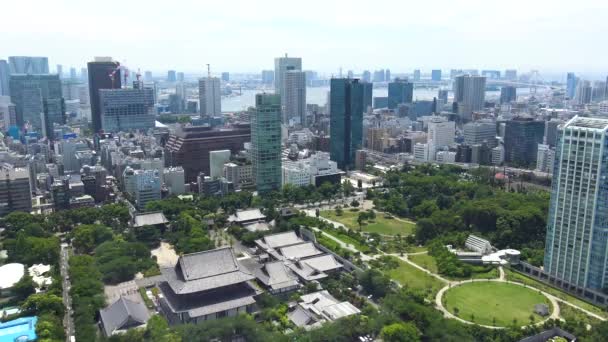 Αεροφωτογραφία Του Πάρκου Του Τόκιο — Αρχείο Βίντεο