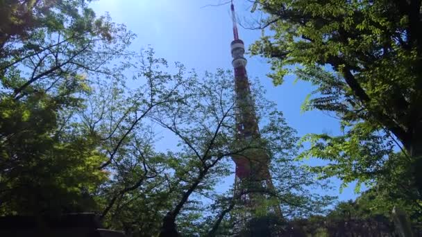 Вид Токийскую Башню Сада Зодзё Дзи — стоковое видео