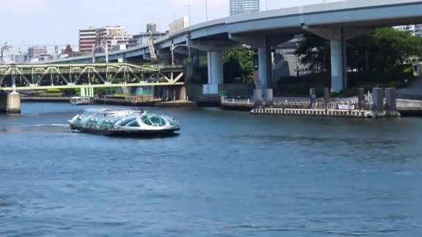 Zeitraffer Touristenboot Auf Dem Fluss Asakusa Tokio Japan — Stockvideo