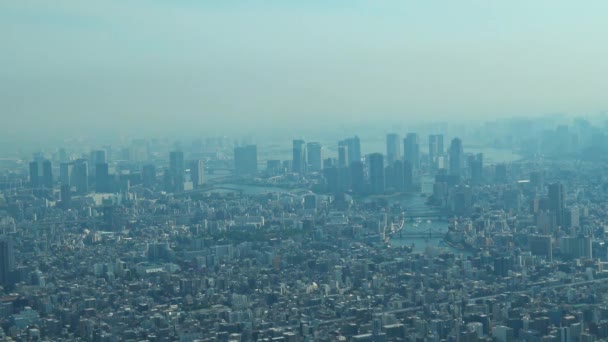 スカイツリータワーからの東京川と橋の空中写真 — ストック動画