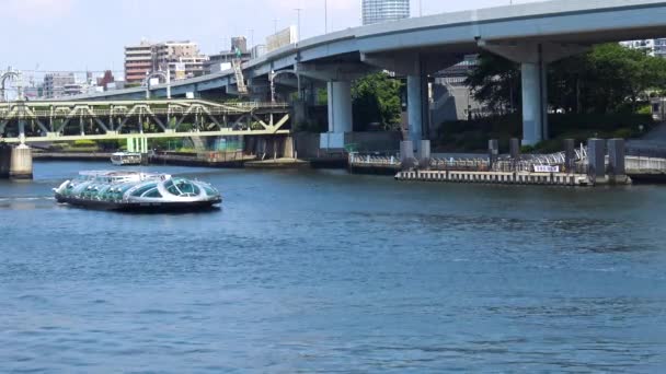 Touristenboot Auf Dem Fluss Asakusa Tokio Japan — Stockvideo