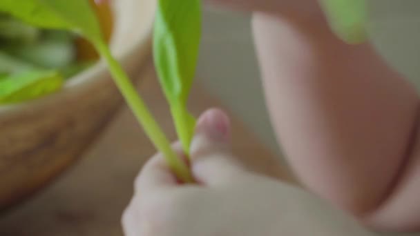 若い女の子の手の閉じると台所で野菜を食べるための緑を準備 — ストック動画