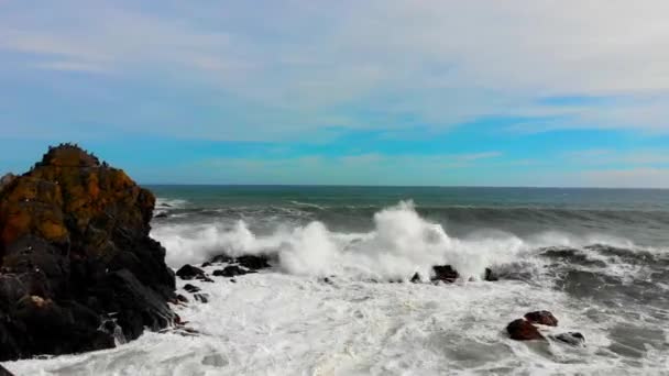 Robustní Pobřeží Mysu Erimo Hokkaido Japonsko — Stock video