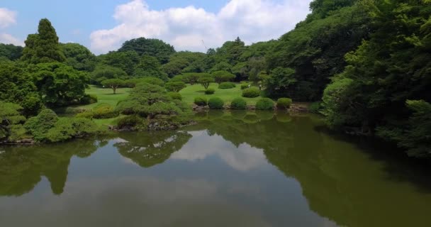 Vista Del Estanque Parque Yoyogi — Vídeos de Stock