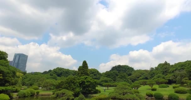 Przechył Chmury Drzewa Widok Parku Yoyogi — Wideo stockowe