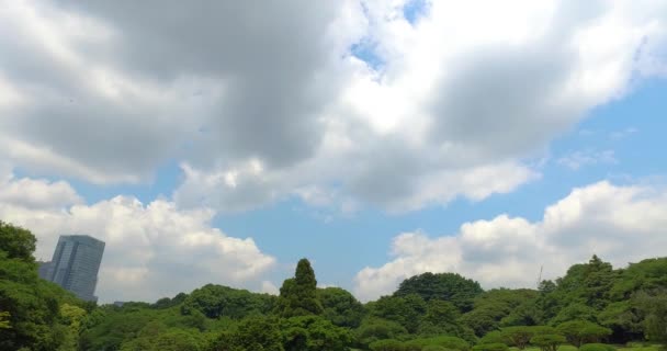Chmury Drzewa Widok Parku Yoyogi — Wideo stockowe