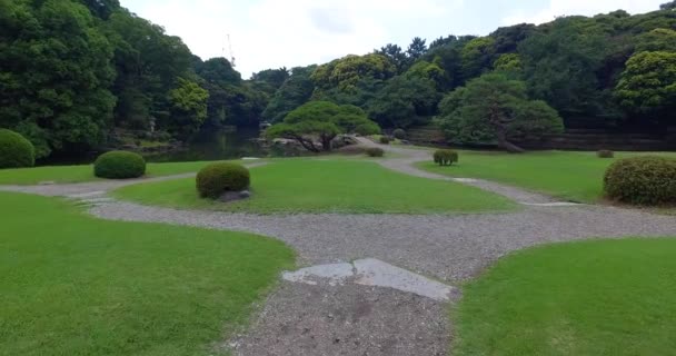 Pov Promenader Yoyogi Park — Stockvideo