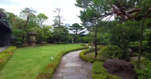 Pov Caminhando Pelo Jardim Museu Nezu — Vídeo de Stock