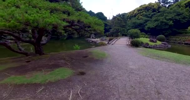 Pov Yoyogi Parkında Yürüyor — Stok video