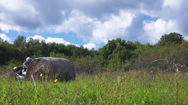 Motor Rider Arrives Grass Field Nature Amvironment Countryside — Vídeo de Stock