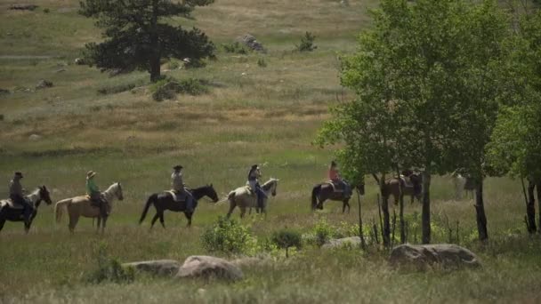 Family Going Horseback Riding Vacation — Stock Video