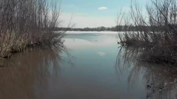 Flygdrönare Video Från Lake Susan Chanhassen Minnesota Flyger Genom Smal — Stockvideo