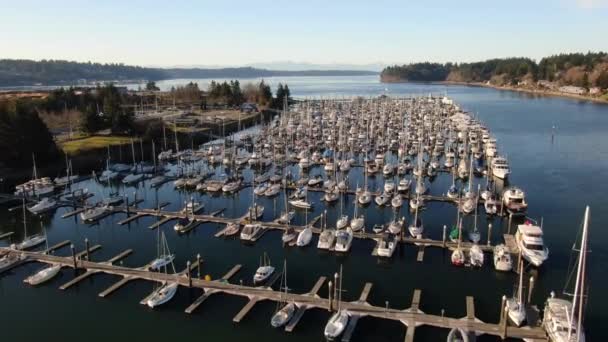 Flyger Över Marina Vid Solnedgången Olympia Washington Puget Sound — Stockvideo