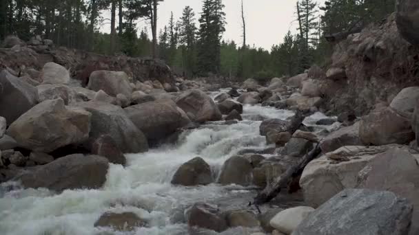 Slider Shot Raging River Mountains — Stock Video