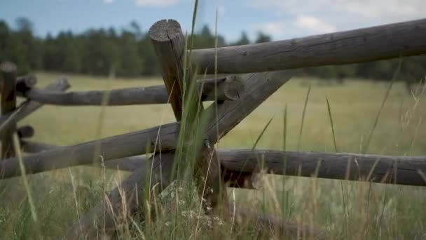 Posuvník Výstřel Vysoké Trávy Před Dřevěným Plotem Farmě — Stock video