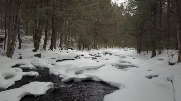 Drone Vliegt Laag Boven Besneeuwde Rivier Winter — Stockvideo