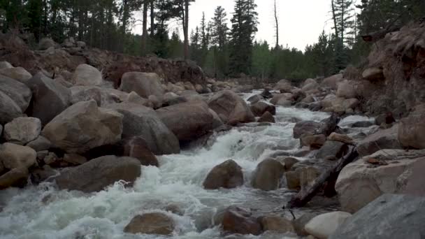 Slide Shot Fast Moving Flooded River Mountains — Stock Video