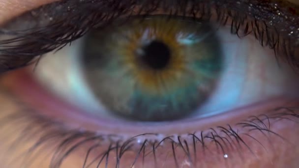 Макро Снимок Моргающего Глаза Девушки — стоковое видео
